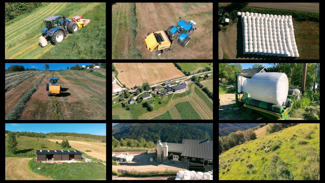 Farm, Venabygd