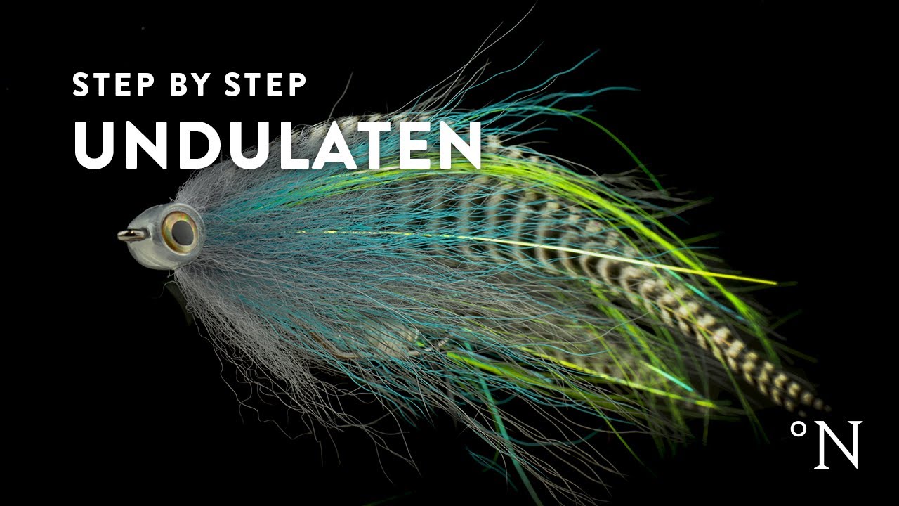 Fluebinding: Geddefluen - Undulaten