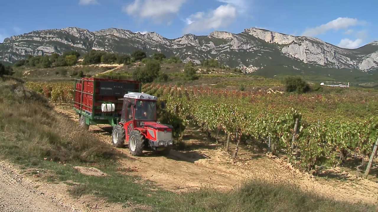 Catamos Lus Cañas Selección de la Familia Reserva 2005 y Ángeles de Amaren 2007 - Todovino.com