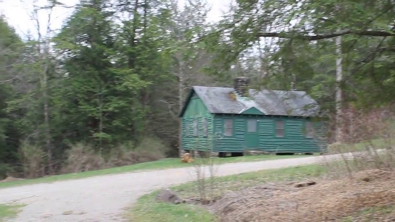 Ryan 2, Allegany State Park