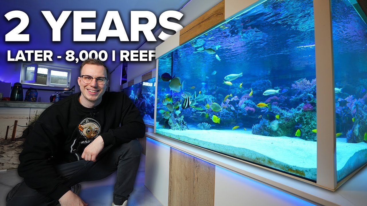 What happened to the 8,000l REEF TANK? - after 2 years