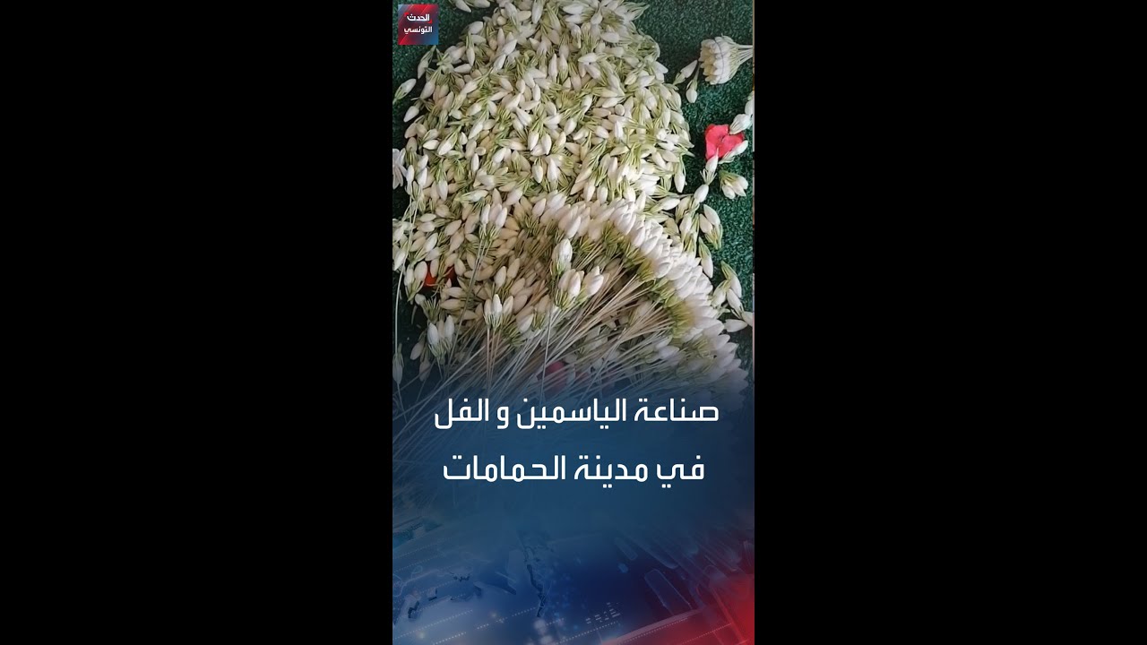 مشموم الفل والياسمين في مدينة الحمامات التونسية
