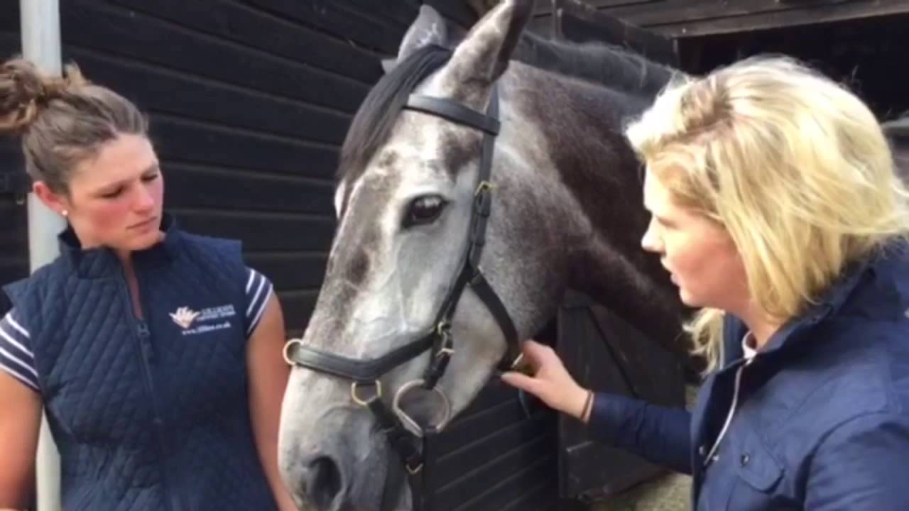 How to Fit the Micklem Bridle