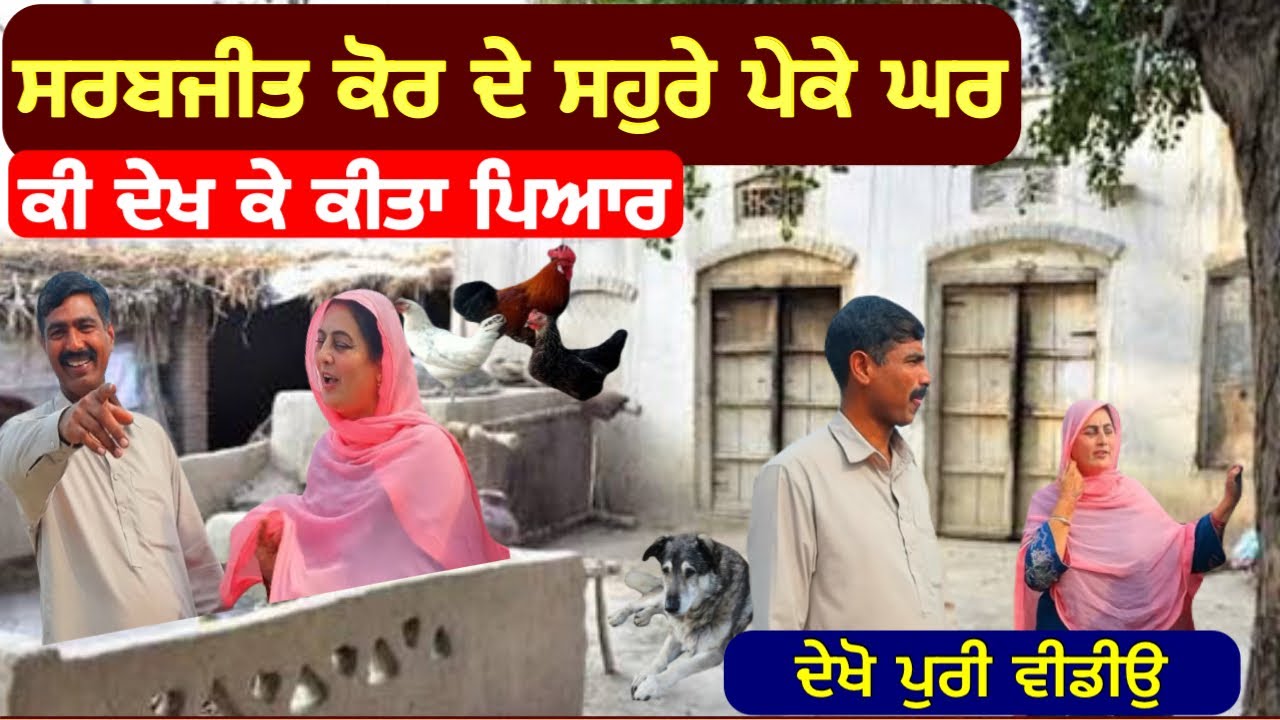 ਵੱਡੀ ਖ਼ਬਰ ਸਰਬਜੀਤ ਕੋਰ ਨੇ ਕੀ ਵੇਖਿਆ ਕਿ ਪਿਆਰ ❤️ ਹੋ ਗਿਆ । #lovemarriage  #punjabnews #sarabjitkaur 