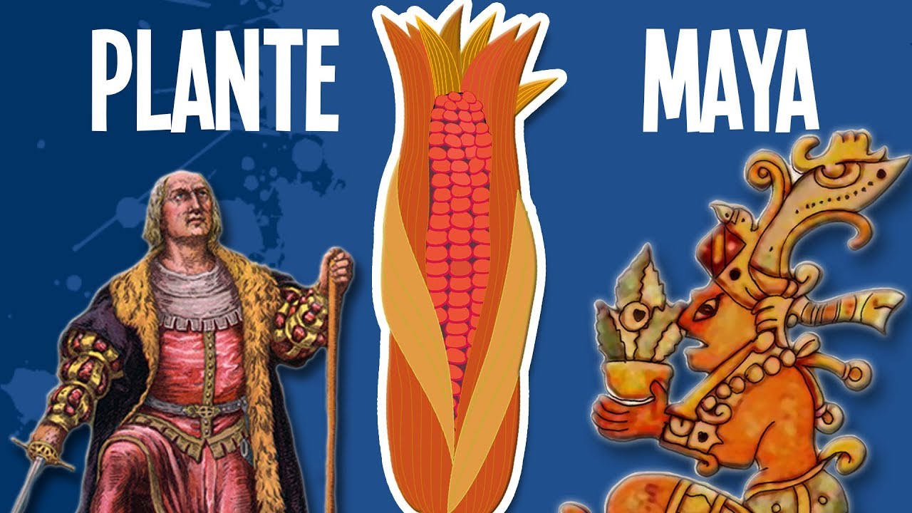 Cette plante Maya conquiert le monde - UPH #13