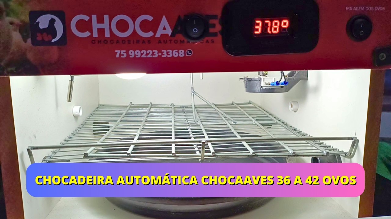 Chocadeira Automática CHOCAAVES 36 a 42 Ovos