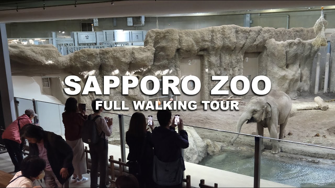 Full Tour at the LARGEST and Oldest Zoo in Sapporo, Japan! SAPPORO MARUYAMA ZOO | Since 1951!