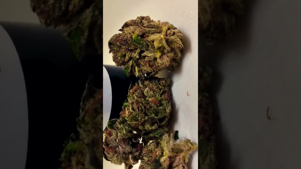wildflower hemp lava cake 29.30% cannabinoids