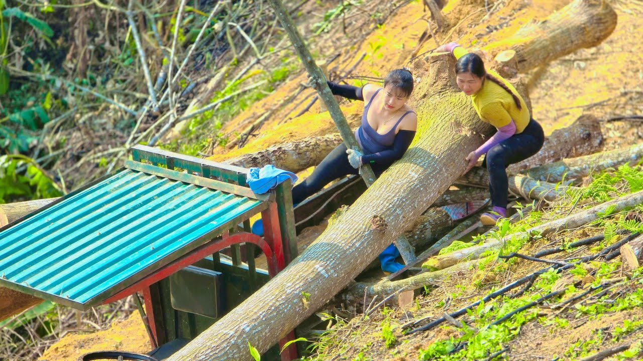 The 200-day Vietnamese girl's extremely dangerous logging operation.#wood #tractor #vietnamesegirl.
