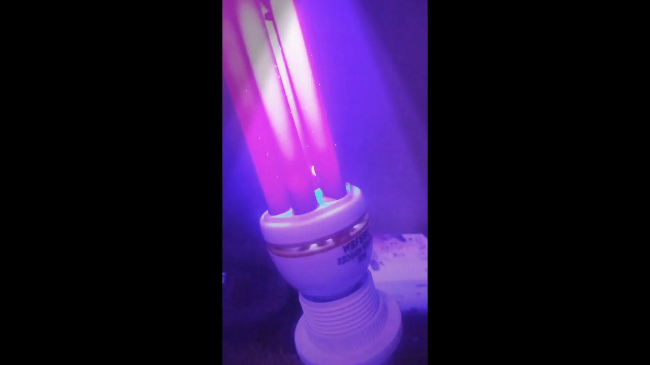 Luz ultravioleta