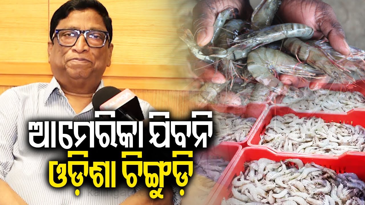 Exclusive interview with Entrepreneur Tara Ranjan Patnaik over Trump's tariff on India | Kalinga TV