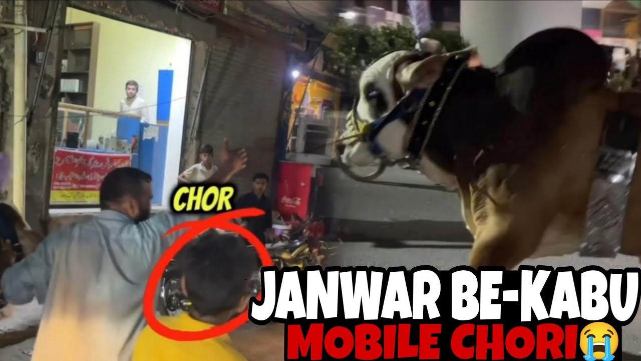 Last Round Of Our Cows 🥹| Janwar Be-Kabu 😨| Khalid Uncle Ka Mobile Chori 😭