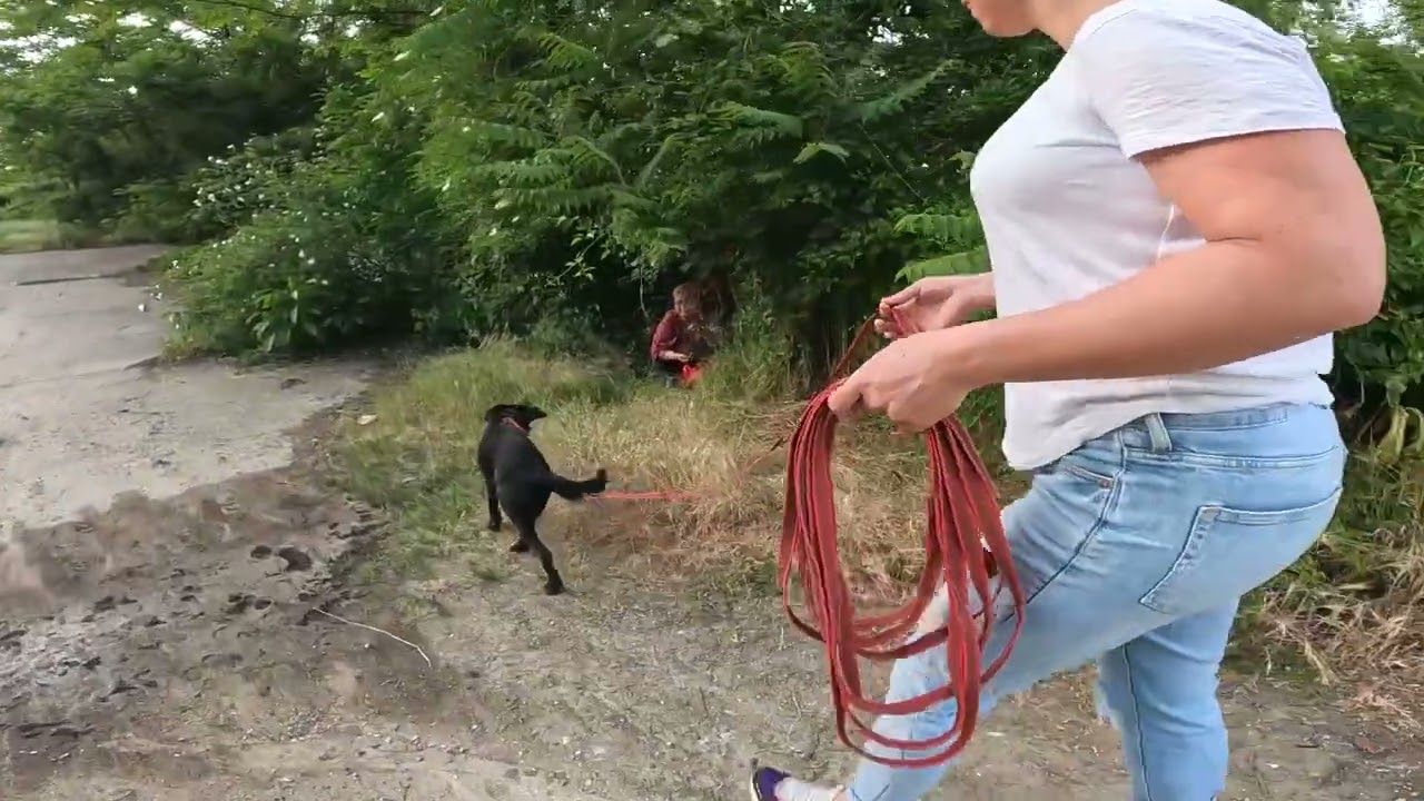 Mantrailing Tanfolyam - SciDog x K9 Keresőkutyás Egyesület