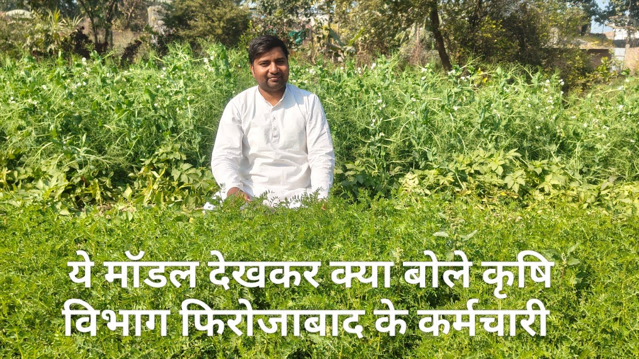 एक साथ 25 फसलें रबी क्रॉप सहफसली मॉडल प्राकृतिक खेती मॉडल विजिट करते हुए कृषि विभाग फिरोजाबाद 