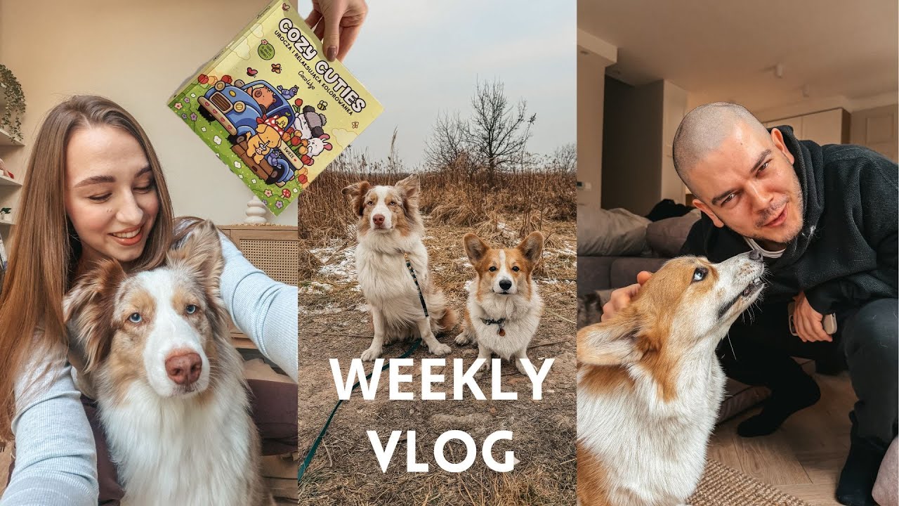 WEEKLY VLOG aussie.lilo