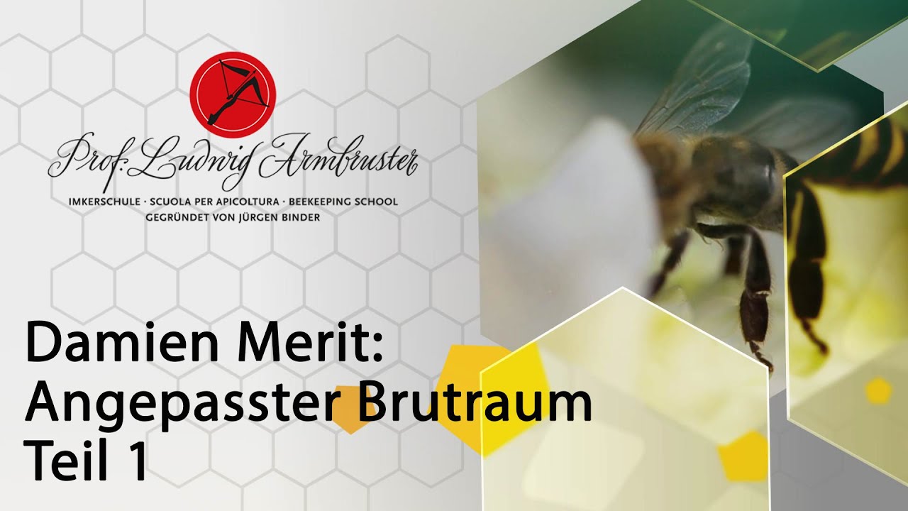 Damien Merit - Angepasster Brutraum Teil 1