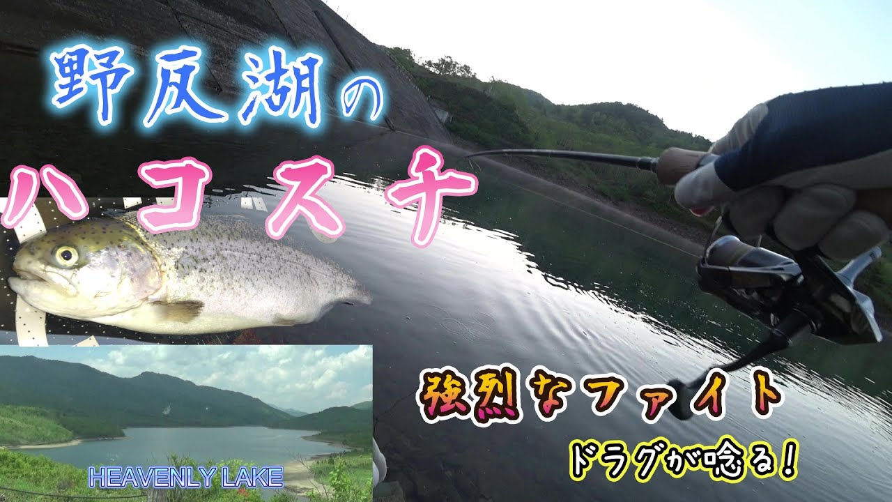 2024年 野反湖のファースト ハコスチ🌈強烈なファイトを堪能 トラウトルアーフィッシング スプーンの釣り/Lake Nozori/Rainbow Trout 釣行日2024/6/11