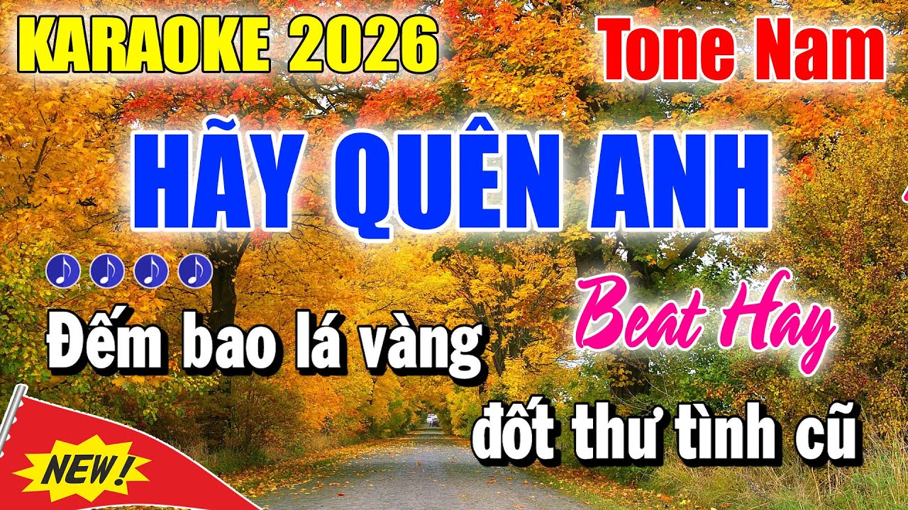 Karaoke Hãy Quên Anh Tone Nam | Nhạc Sống Cực Hay | Karaoke Thanh Duy