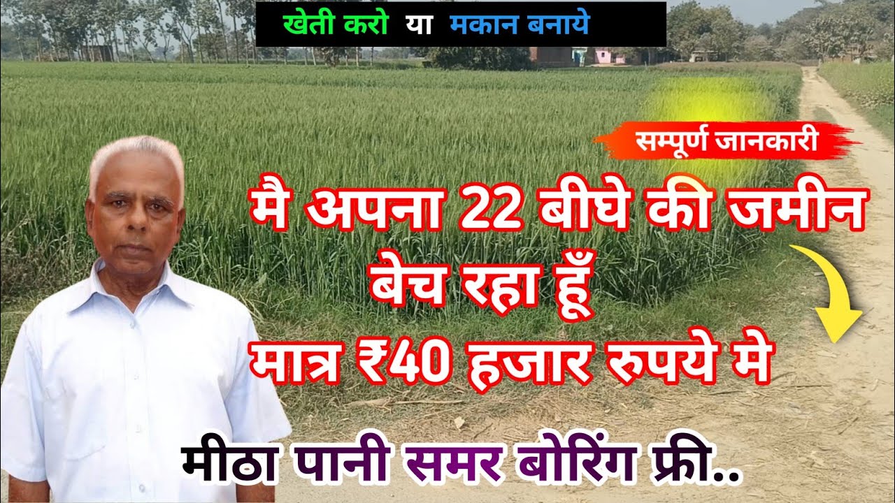 ₹40 हजार रुपये प्रति बीघा में 22.बीघा जमीन बिकाऊ हैं agriculture land for sale