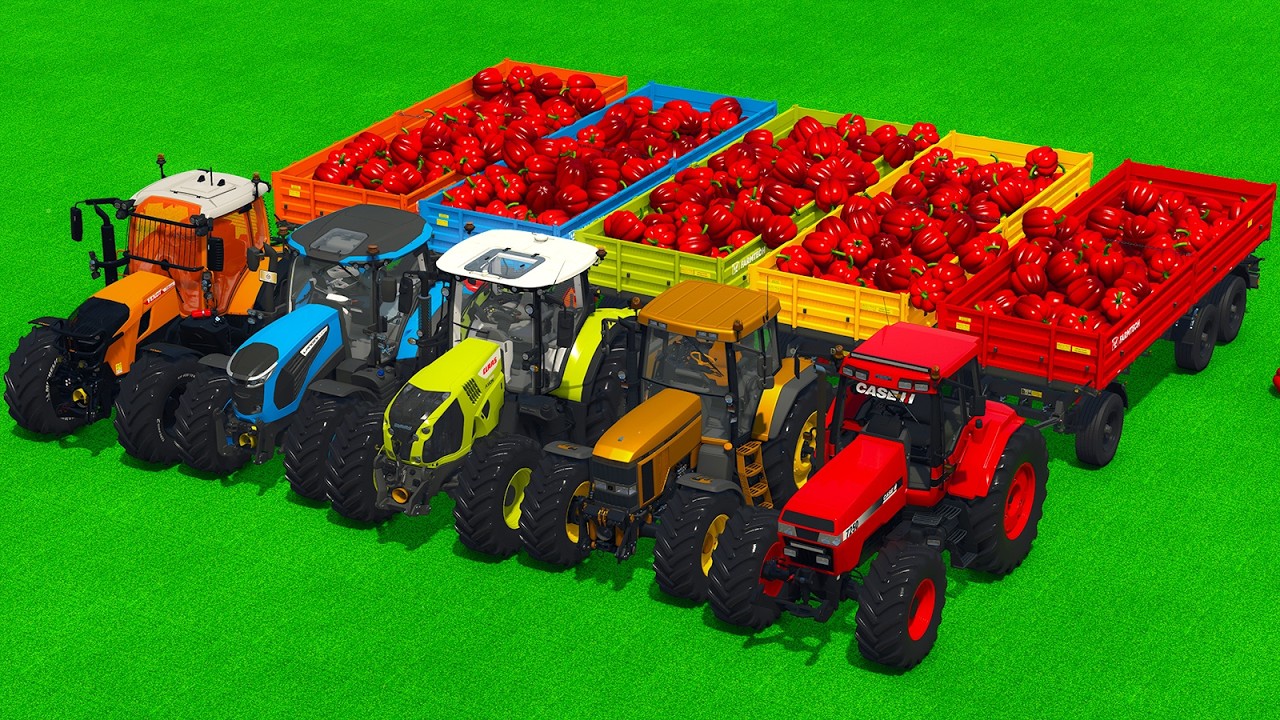John Deere vs Case vs Claas vs Fendt — Bell Pepper Transport Battle! 🌶️🚜