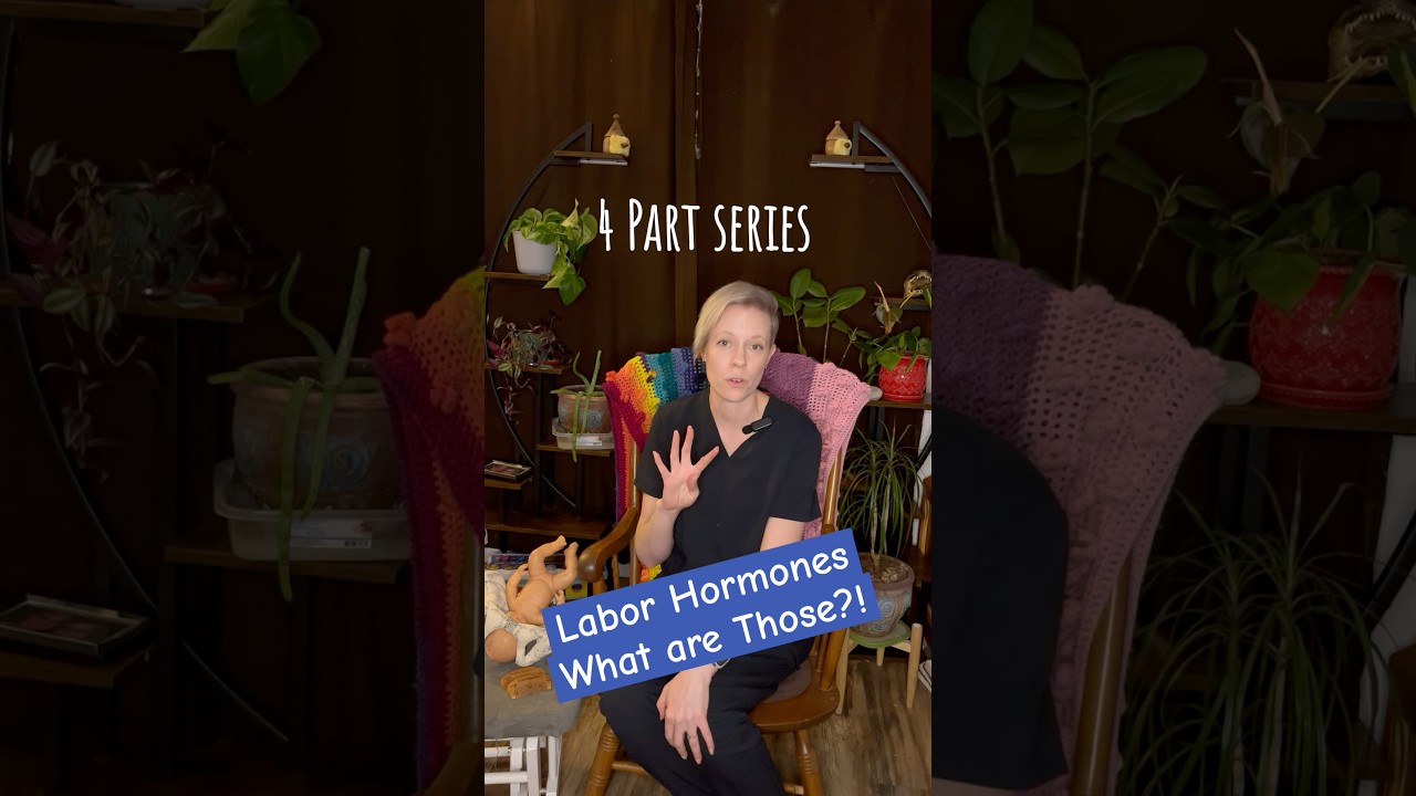 Intro to The Labor Hormones