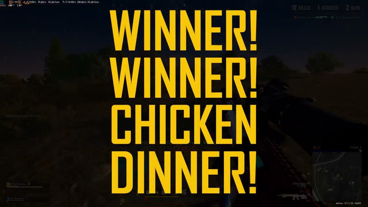 PUBG PC BEAST MODE | 12 Kills Nonstop Action 🎮