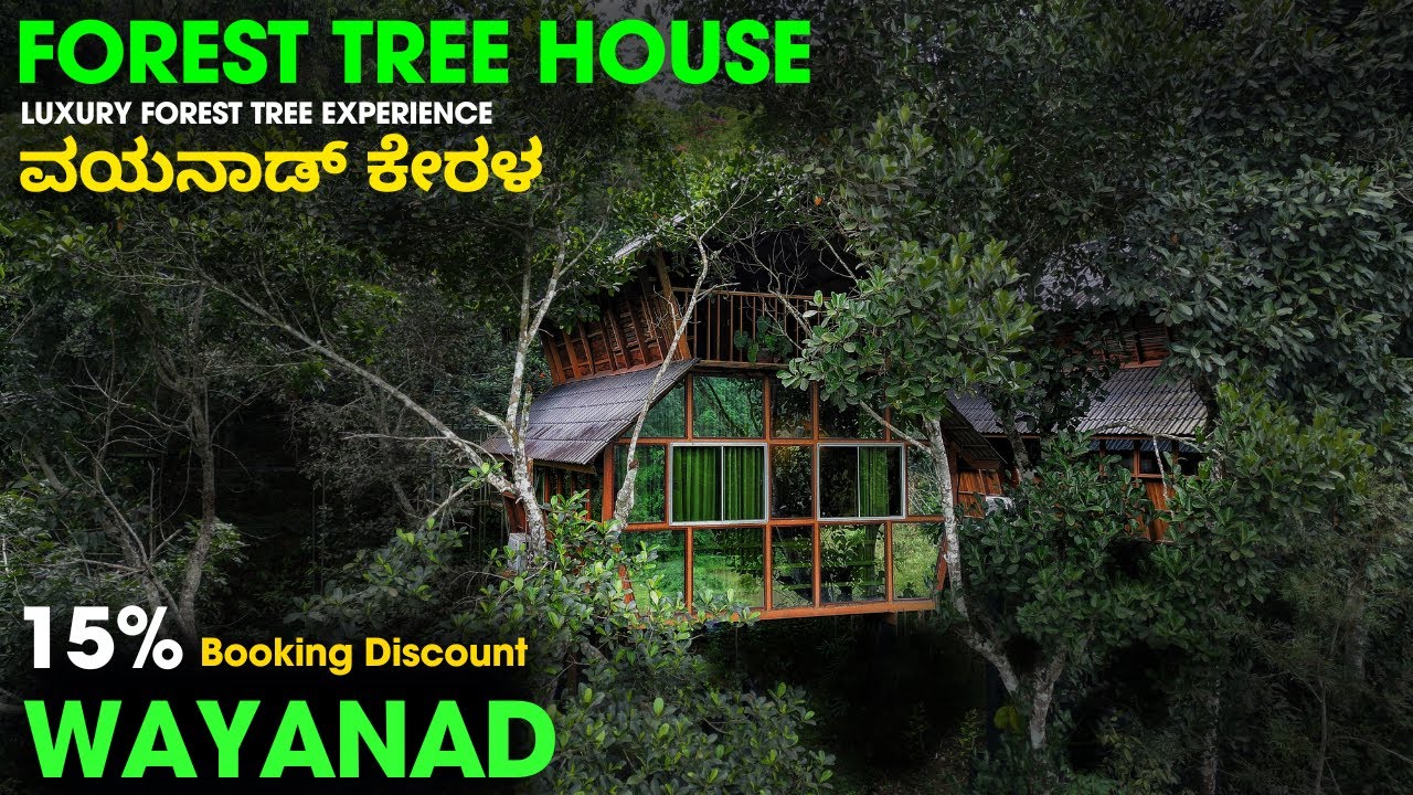 BEST RESORT in WAYANAD - TREE HOUSE RESORT - JUNGLE NEST TREE HOUSE - MUST VISIT RESORT in WAYANAD