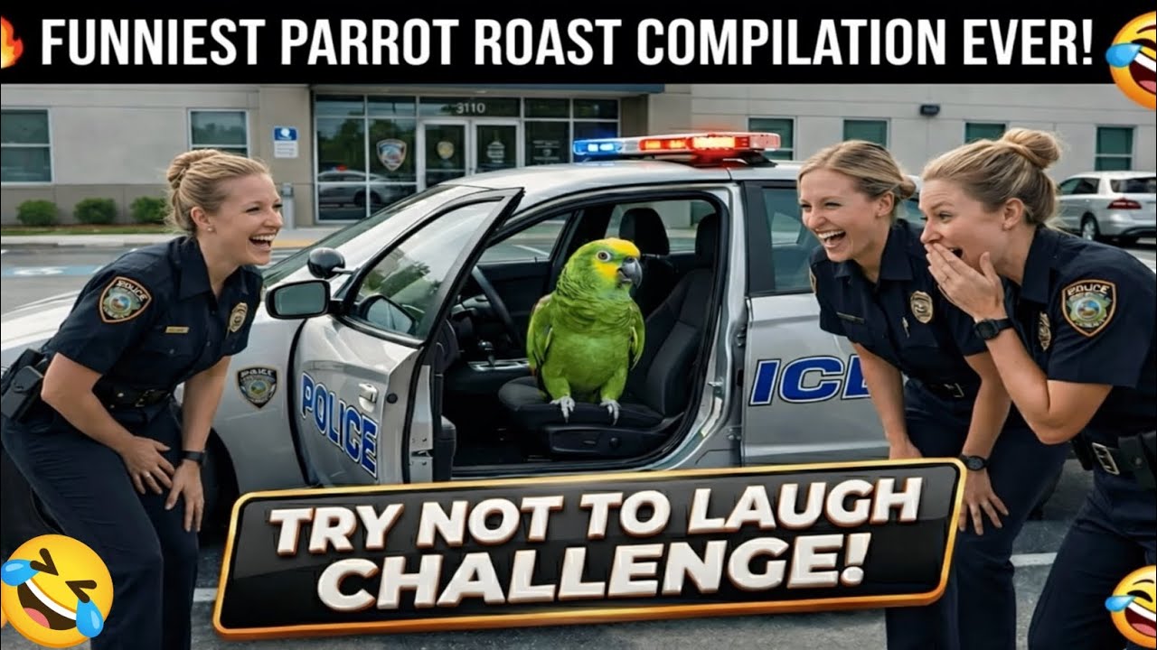 Savage Talking Parrot Trolls Police & Doctors 🤣 Viral Funny Bird Video