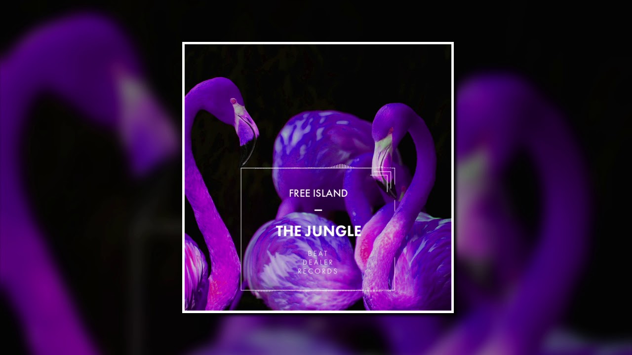 Free Island - The Jungle (Official Video)