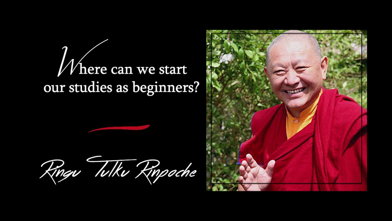 60. Where can we start our studies as beginners? | Answers for Beginners | Ringu Tulku Rinpoche