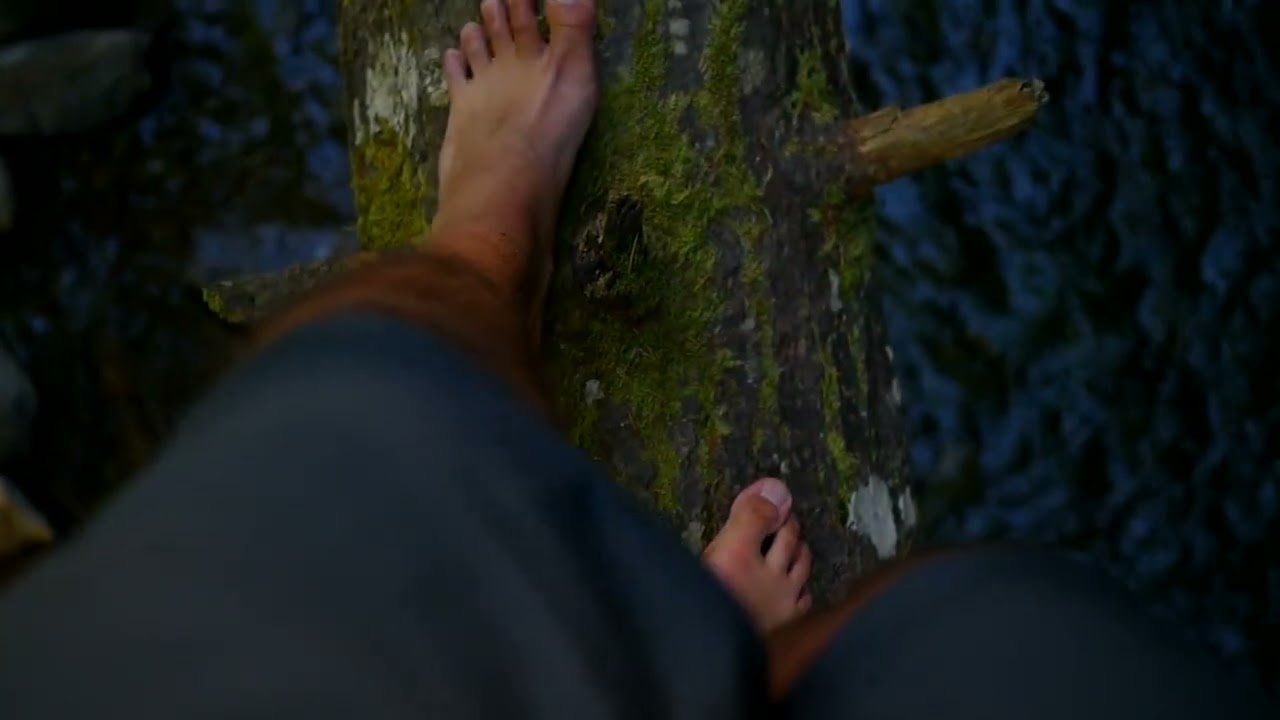 Meditation Mondays: Forest Bathing Meditation