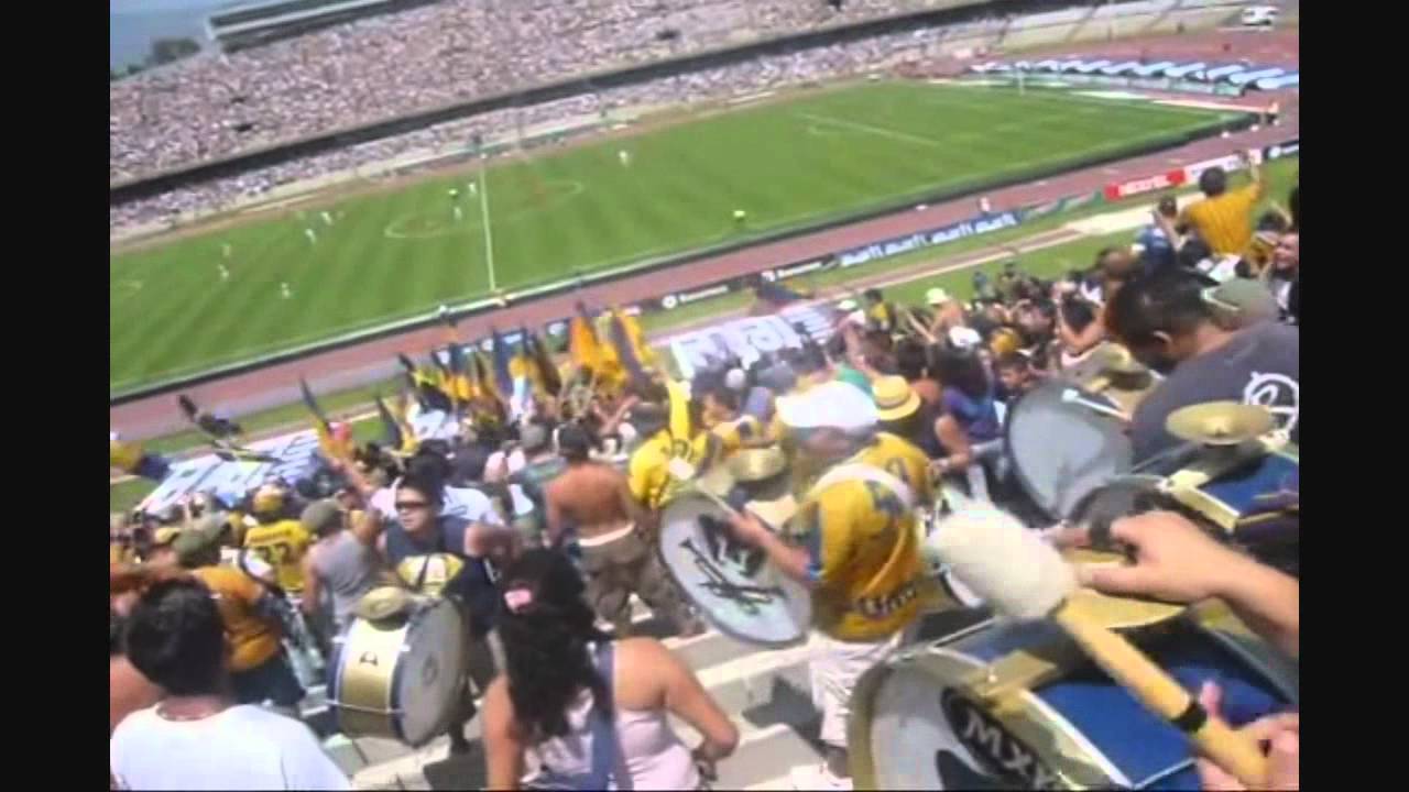 NEGRO JOSE - C.A.R's.C  REBEL