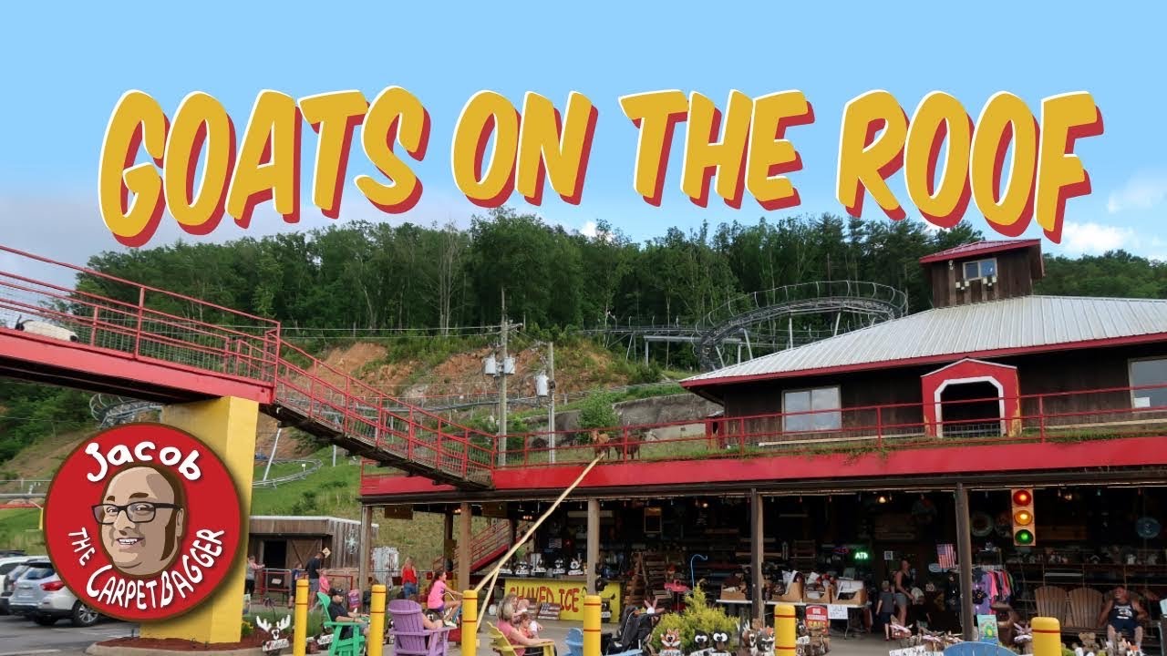 Goats on the Roof - Roadside Attraction and Goat Coaster
