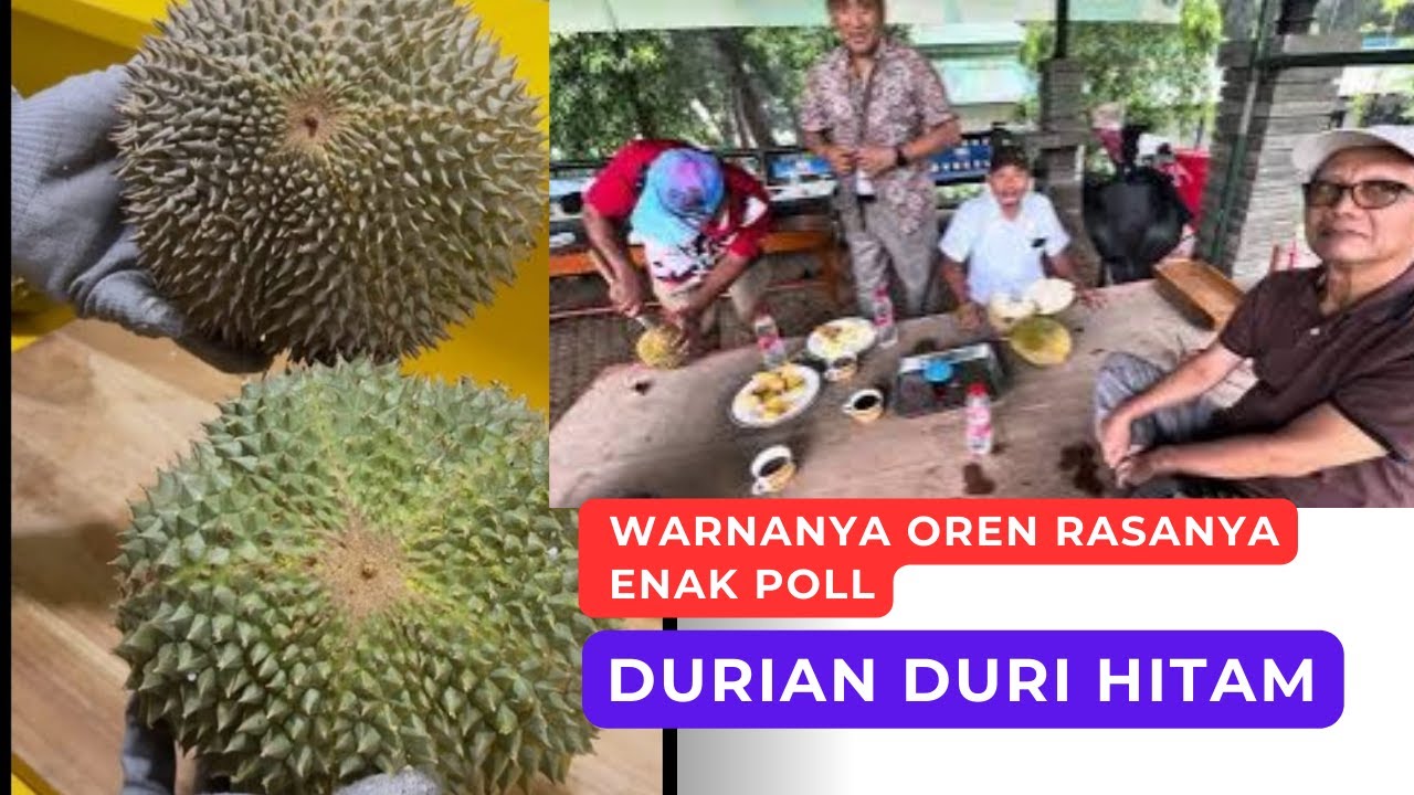 DURIAN DURI HITAM #durian #duriandurihitam #durianmusangking #durianindonesia