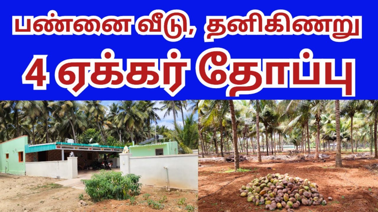 அழகான farmhouse உடன் 4 ஏக்கர் தோப்பு,  செஞ்சேரிபுதூர் அருகில்  விற்பனைக்கு.8883153310 #farmhouse 