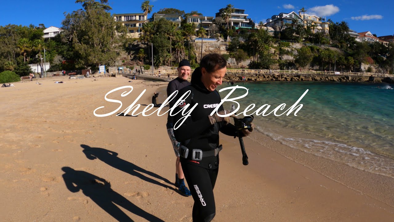 Relaxing Shelly Beach snorkel after the first Sydney Riot