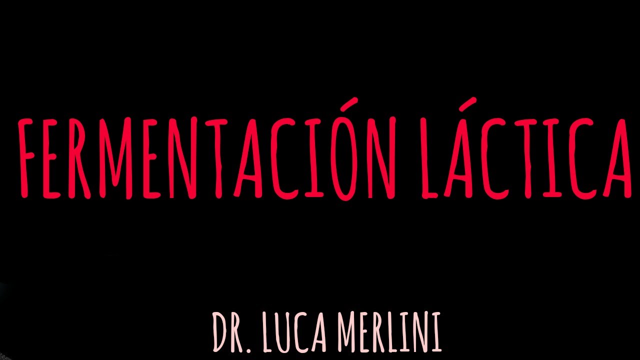 Fermentación Láctica