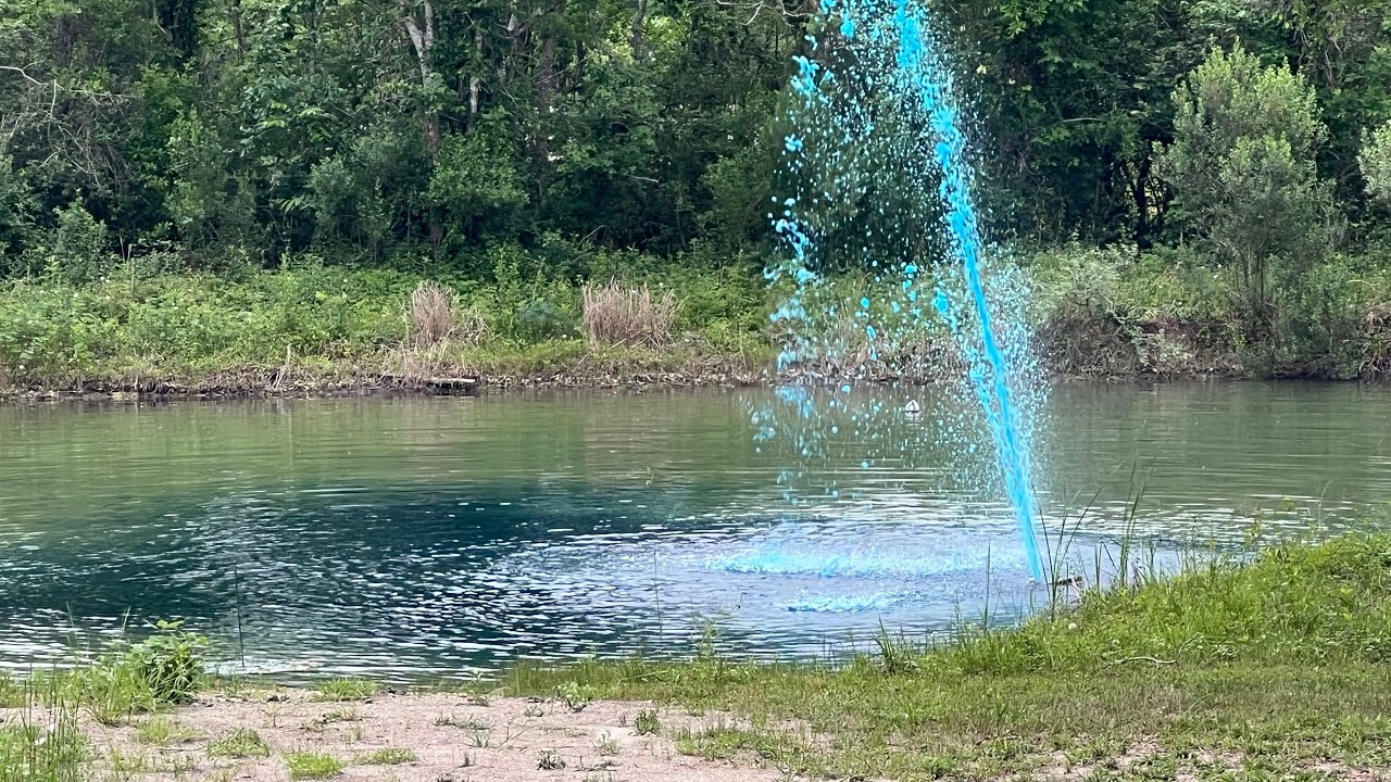 DIY Pond Dye & CHEAP Water Fountain