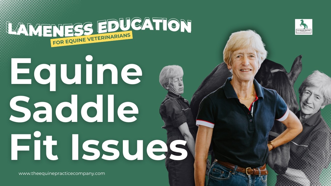 Equine Saddle Fit Issues: Recognizing Withers Deformity and Muscle Atrophy
