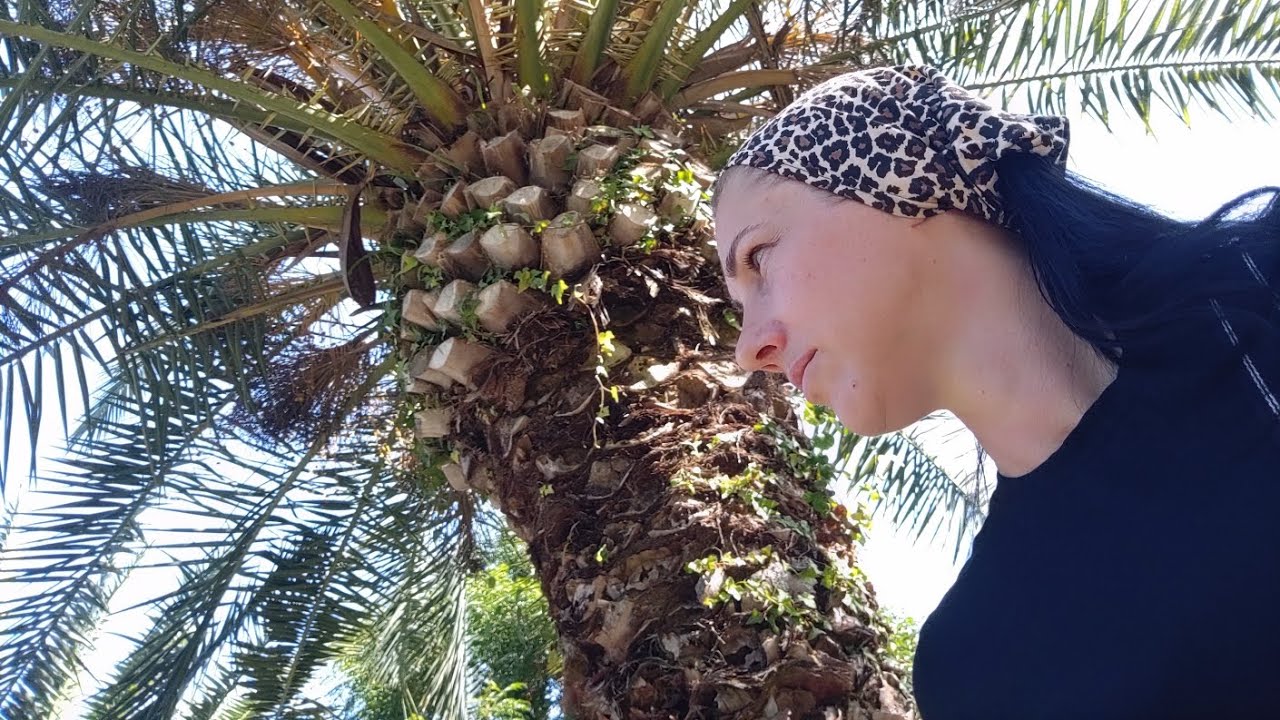 Абхазия 🌞2025/ семьёй на море🌊/Сухум🌴/ Кындыгские термальные источники💦🫣