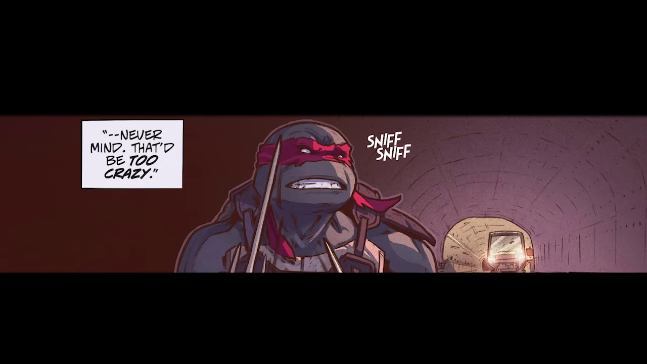 TMNT:The Death Of Raphael