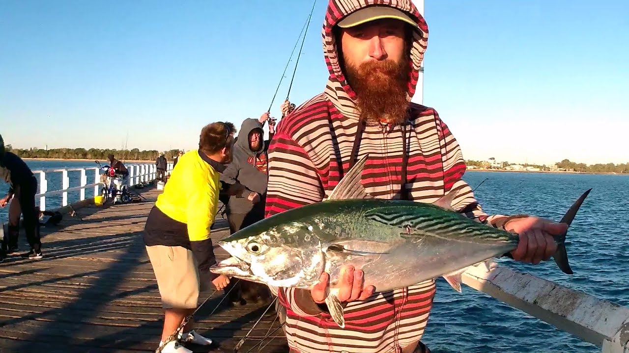 Fishing off Urangan Pier Hervey Bay with Underwater Footage