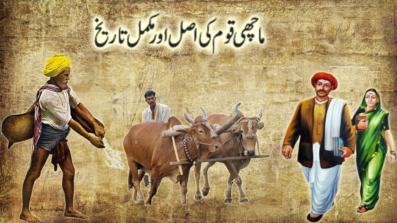 Machhi Kon He/माची जाति का इतिहास/History of MACHHI Caste in urdu hindi