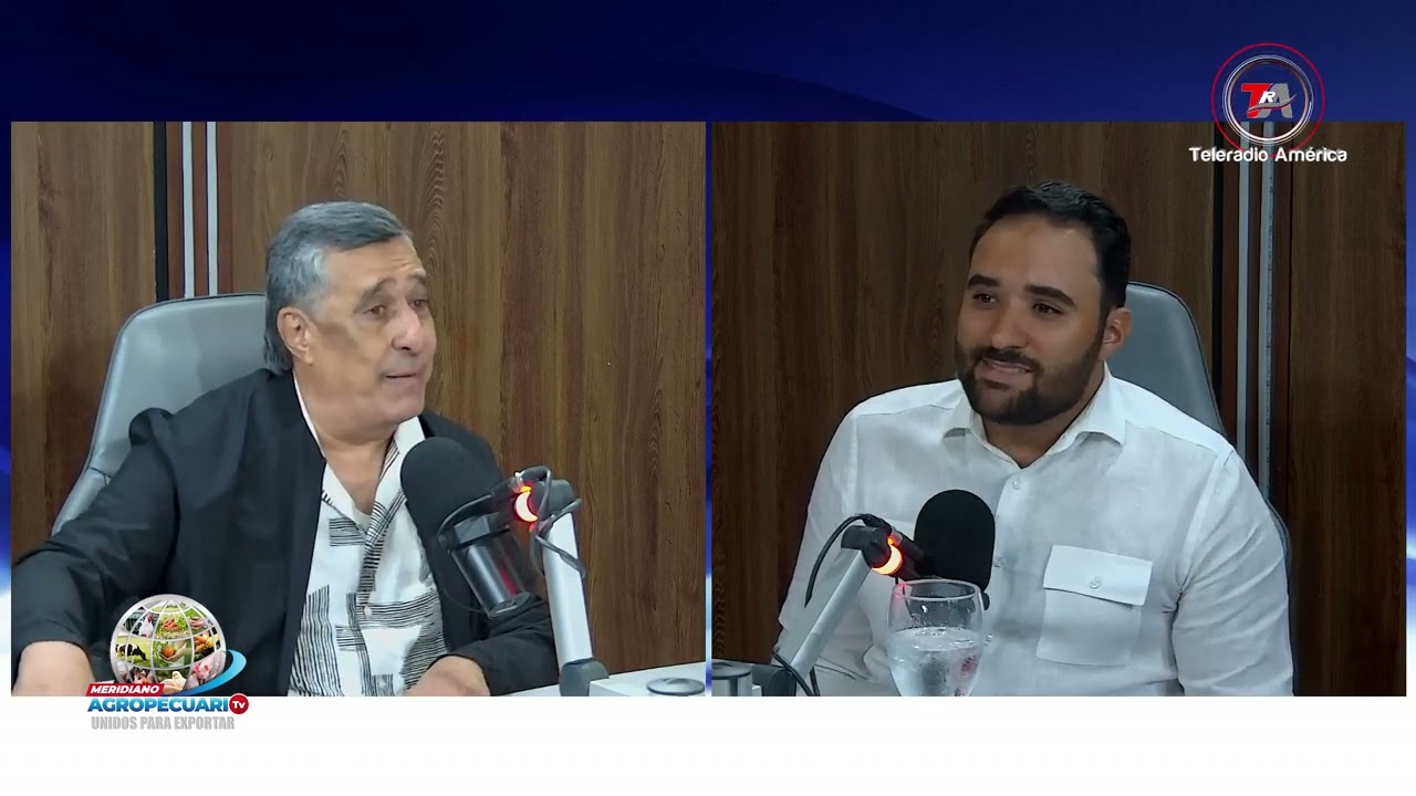 Productores porcinos con miedo a invertir: ¿está en riesgo el sector?