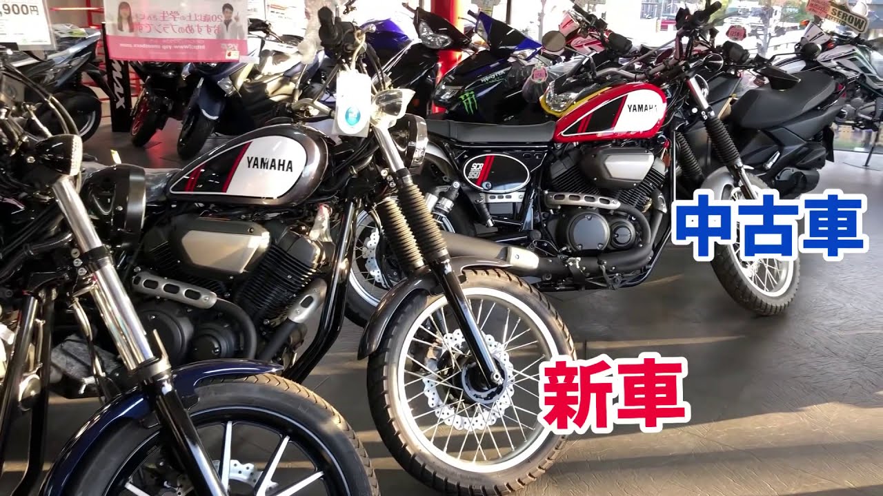 SCR950 YSP刈谷に今ならあるよ～　空冷V型ツイン