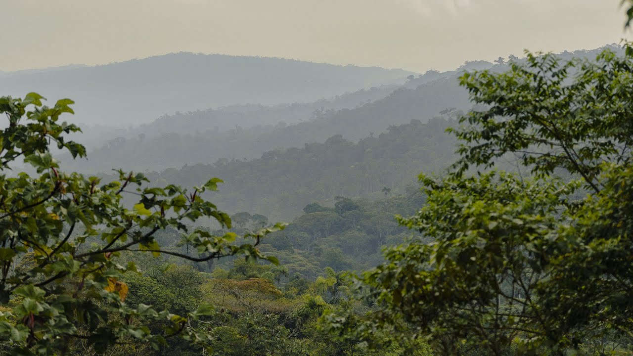 Ecuador 2024 Cinematic Missions Trip Teaser Video