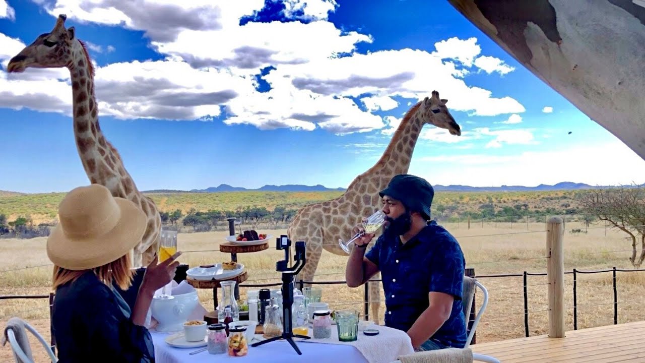 Giraffe Feeding in Namibia | Voigtland Guesthouse | Unique experiences in Africa | NAMIBIAN YOUTUBER