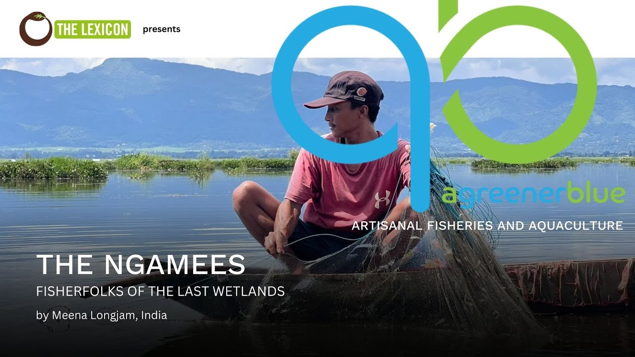The Ngamees (Fisherfolks) of the Last Wetlands by Meena Longjam