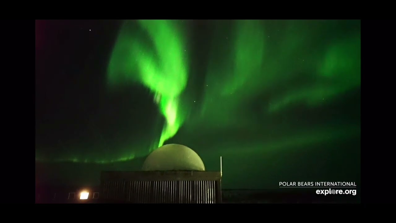 Wowza! What A Night! Northern Lights Highlights For 4.27.2022 Explore.org