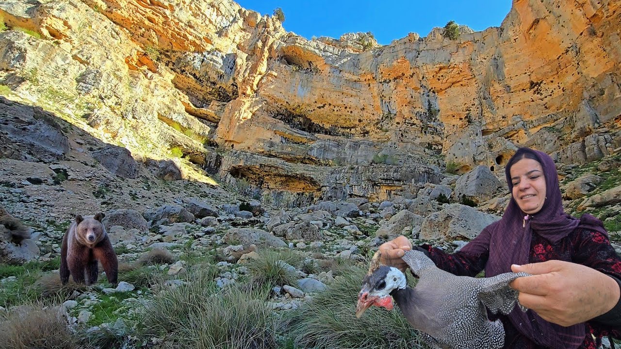 Horned bird discovered on dangerous bear trail 🦅: 🏔️ In search of mountain plant 🌿